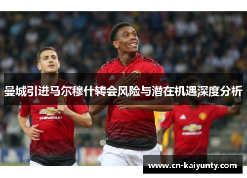 曼城引进马尔穆什转会风险与潜在机遇深度分析