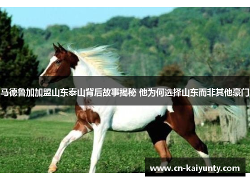 马德鲁加加盟山东泰山背后故事揭秘 他为何选择山东而非其他豪门