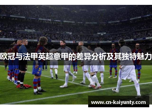 欧冠与法甲英超意甲的差异分析及其独特魅力